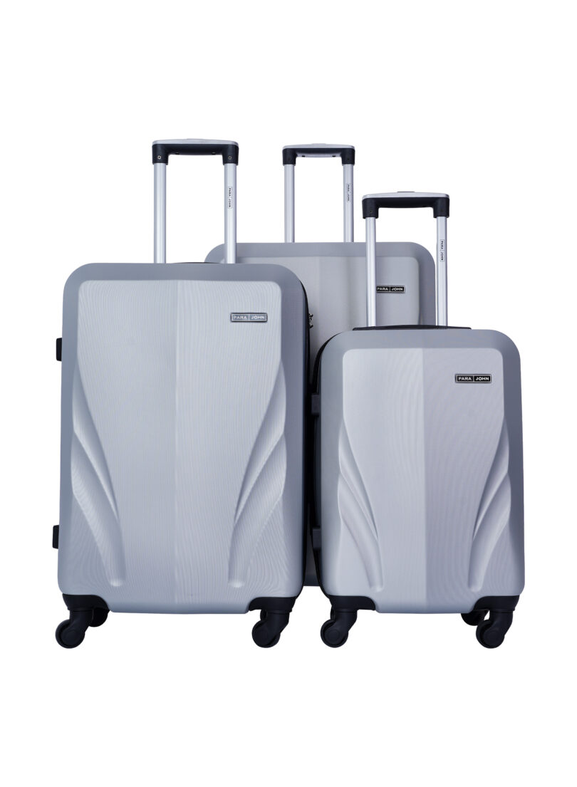 Silver Luggage Set